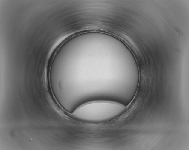 X0000112170788200908070958