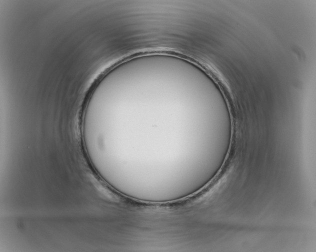 X0000112170789200908070958
