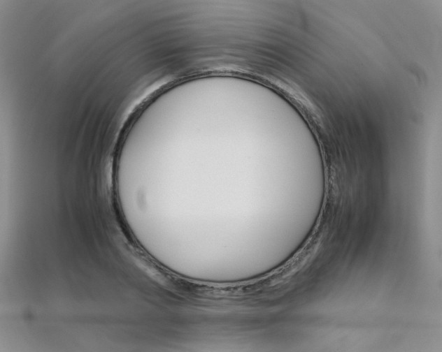 X0000112170790200908070958