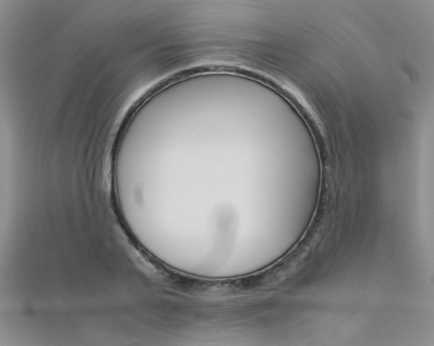 X0000112170791200908070958