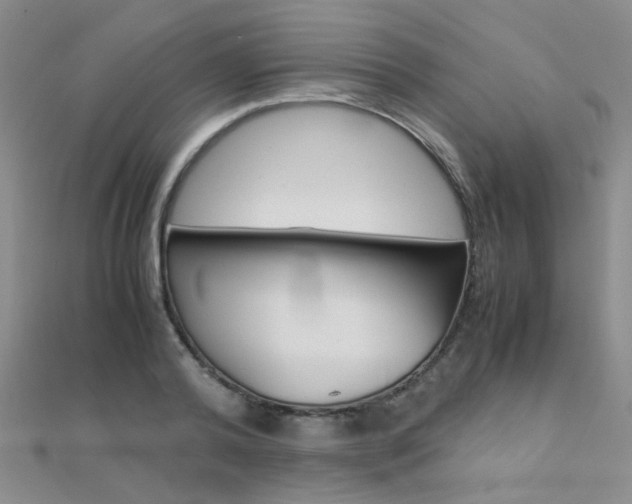 X0000112170792200908070958
