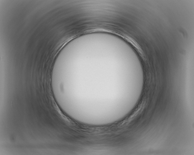 X0000112170793200908070958