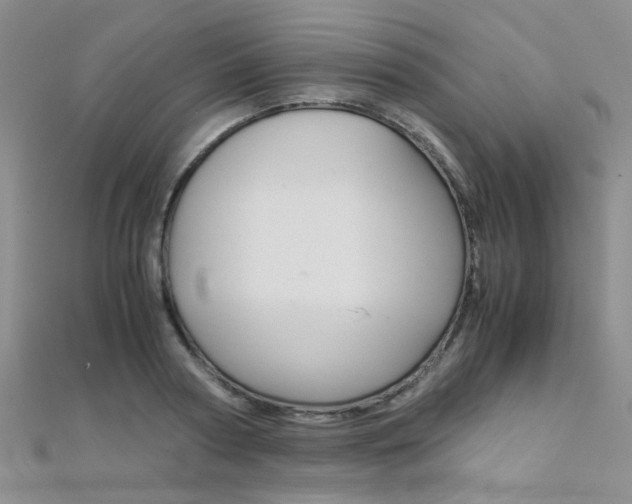 X0000112170794200908070958