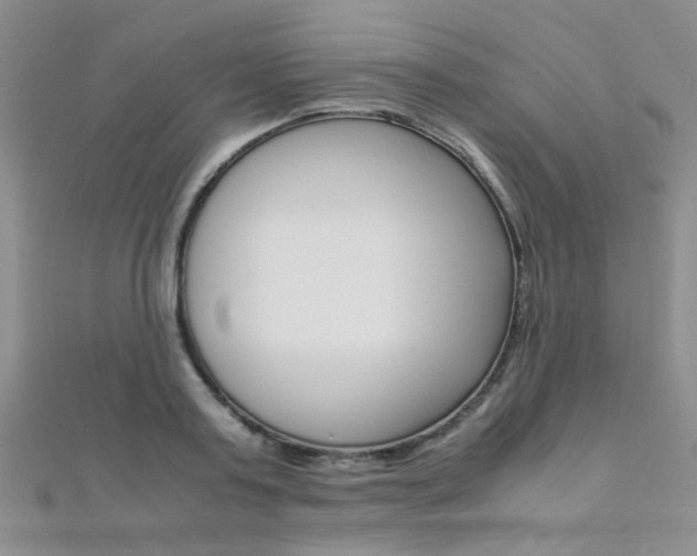 X0000112170795200908070958