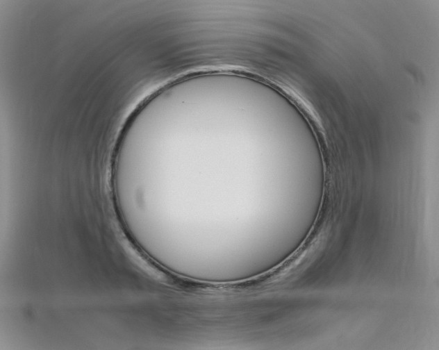 X0000112170797200908070958