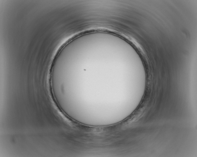X0000112170799200908070958