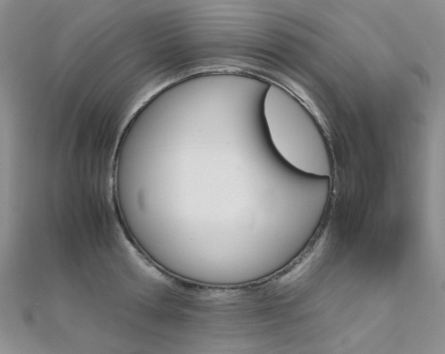 X0000112170802200908070958