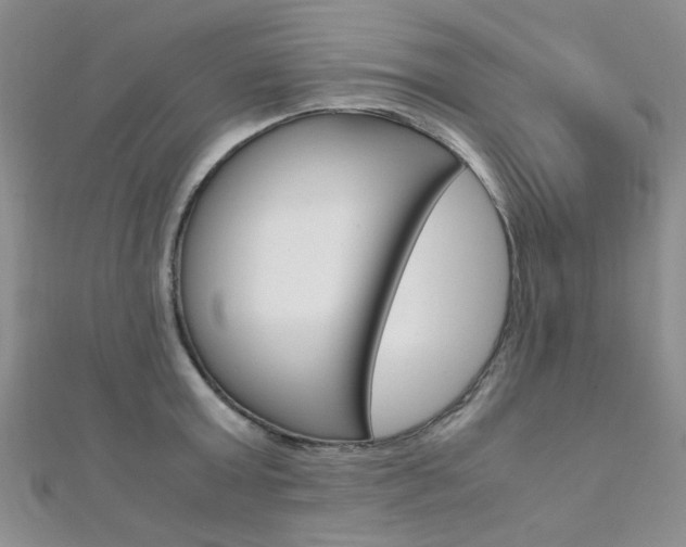 X0000112170803200908070958
