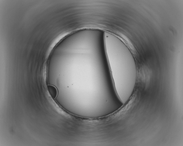 X0000112170804200908070958