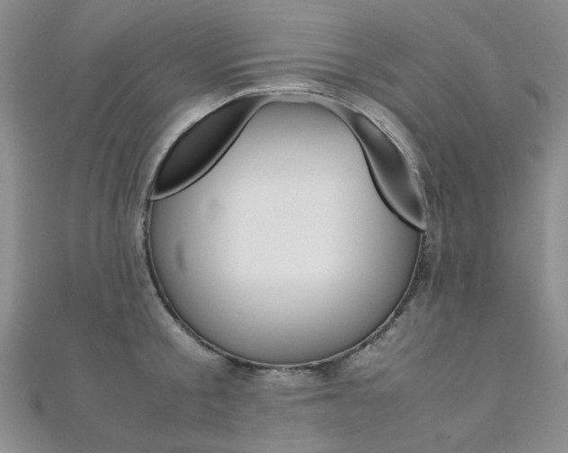 X0000112170805200908070958