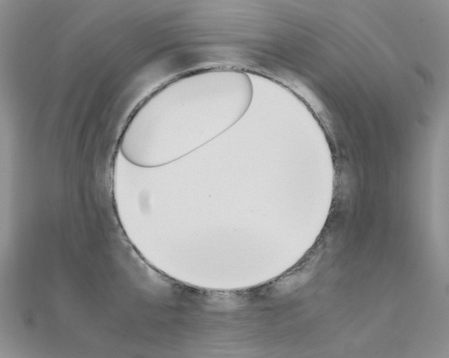 X0000112170807200908070958