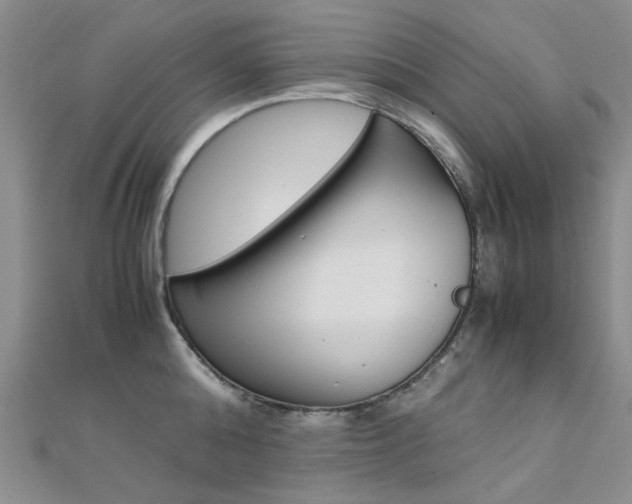 X0000112170808200908070958