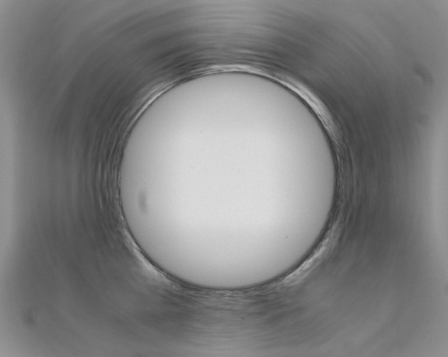 X0000112170809200908070958