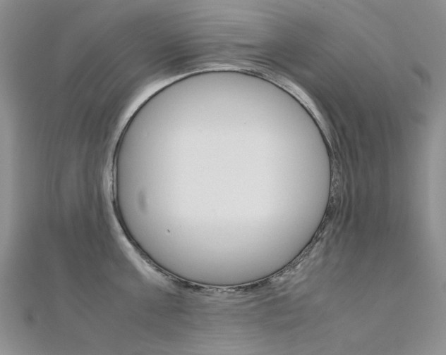 X0000112170811200908070958