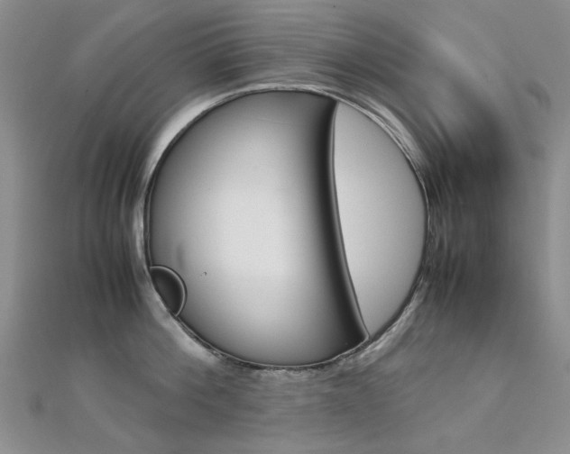 X0000112170812200908070958