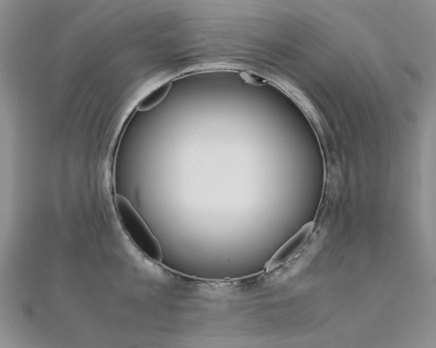 X0000112170813200908070958
