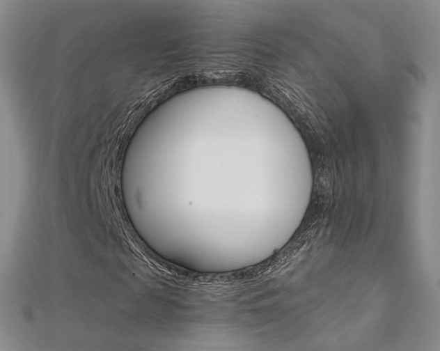 X0000112170817200908070957
