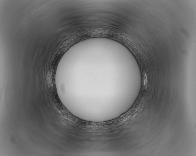 X0000112170819200908070957