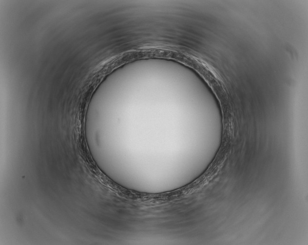 X0000112170821200908070957