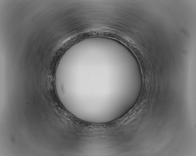X0000112170822200908070957