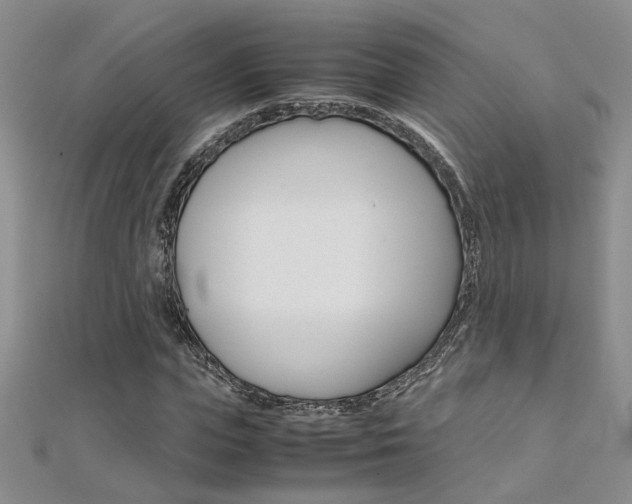 X0000112170823200908070957