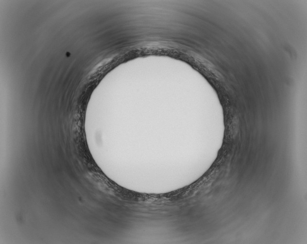 X0000112170824200908070957
