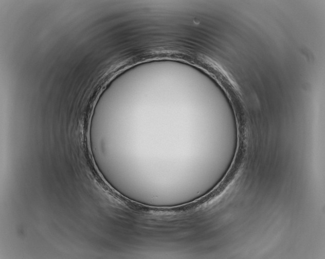 X0000112170825200908070957