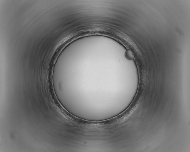 X0000112170826200908070958
