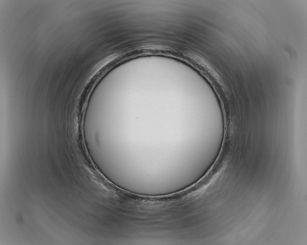 X0000112170829200908070958