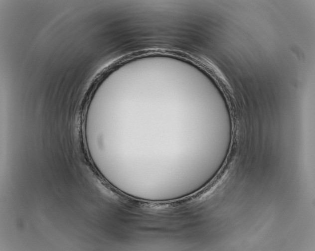 X0000112170831200908070958