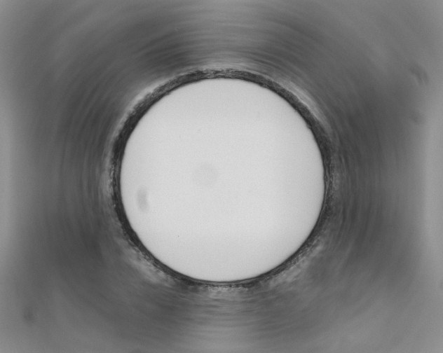 X0000112170832200908070958