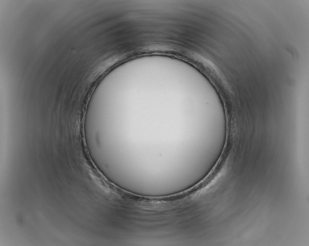 X0000112170833200908070958