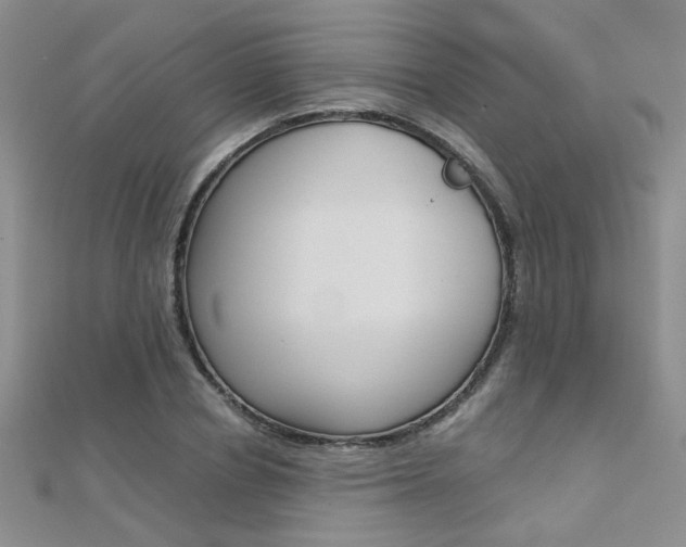 X0000112170834200908070958