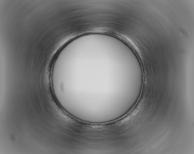 X0000112170835200908070958