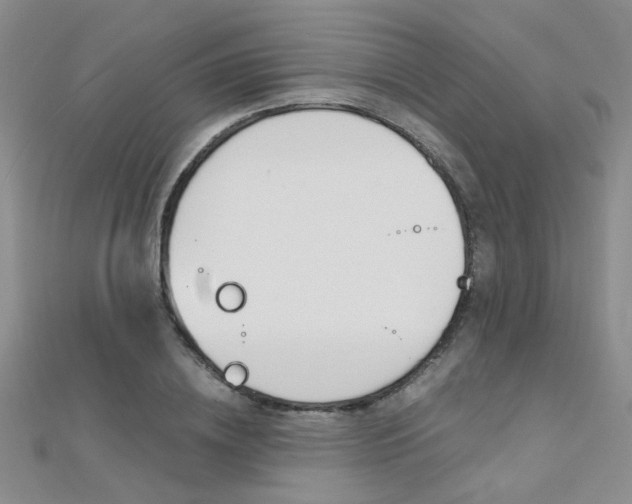 X0000112170836200908070958