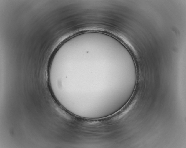X0000112170837200908070958