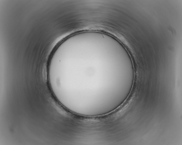 X0000112170838200908070958