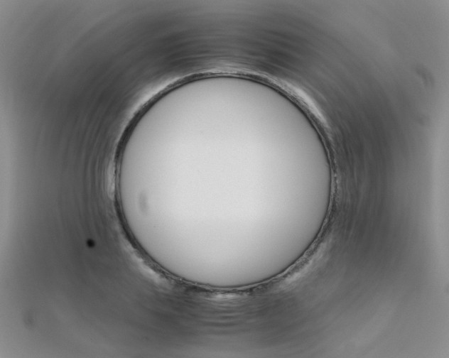 X0000112170839200908070958