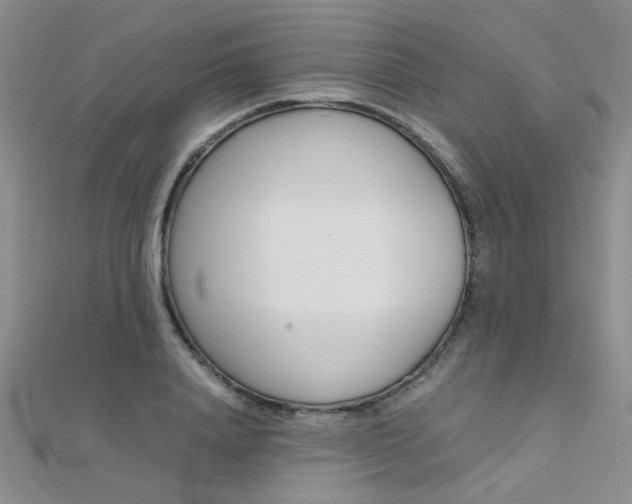 X0000112170840200908070958