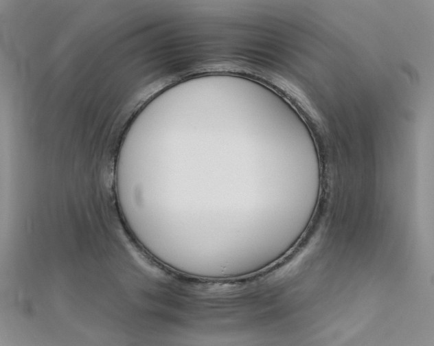 X0000112170841200908070958