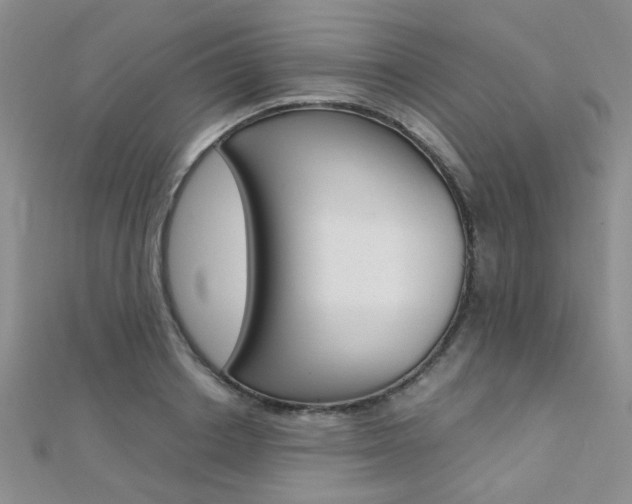X0000112170842200908070958