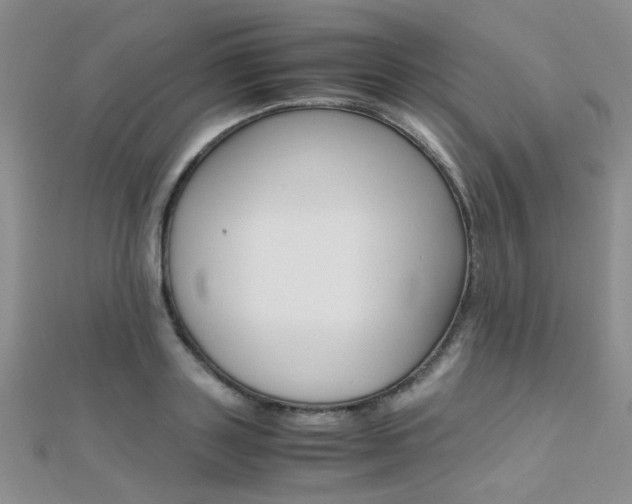 X0000112170843200908070958