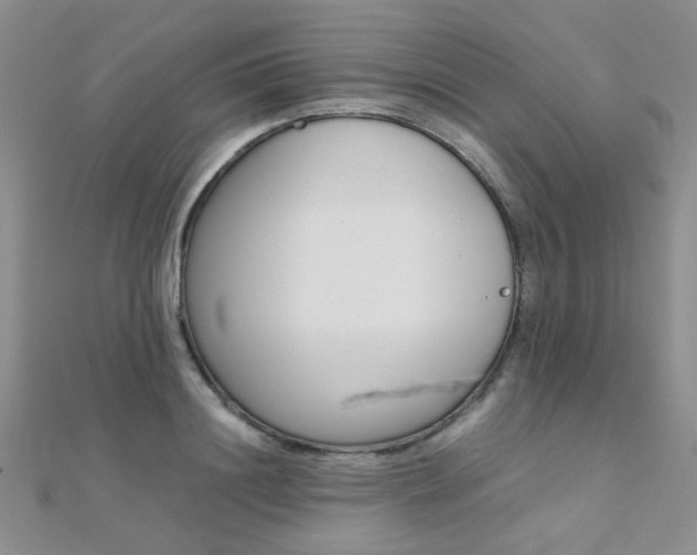 X0000112170844200908070958