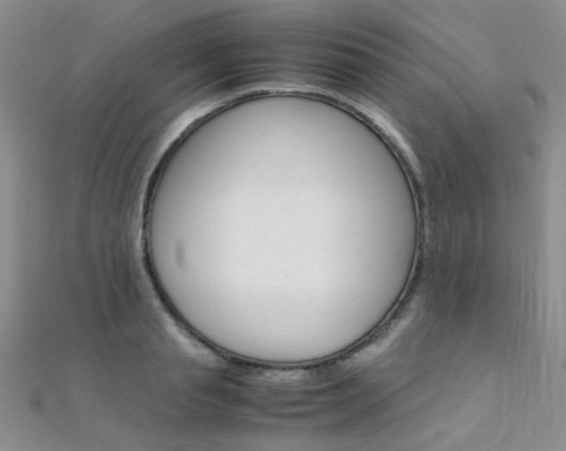 X0000112170845200908070958