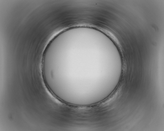 X0000112170847200908070958