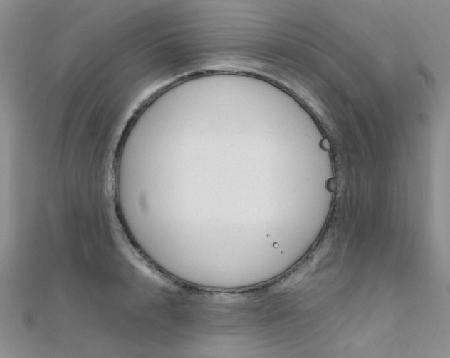 X0000112170848200908070958