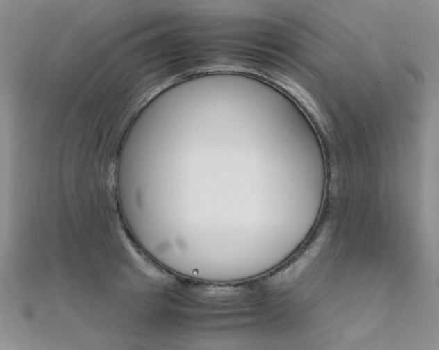 X0000112170849200908070958