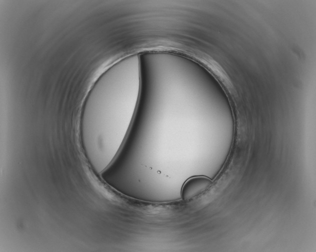 X0000112170850200908070958