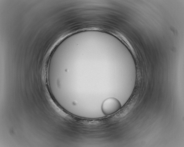 X0000112170851200908070958