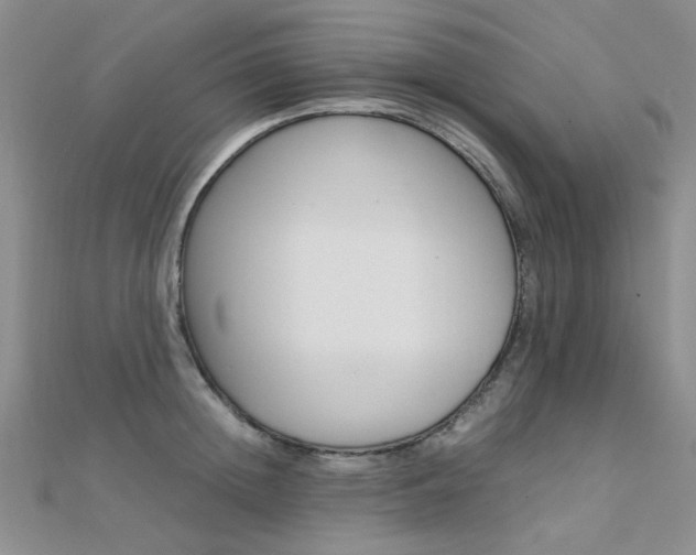 X0000112170852200908070958